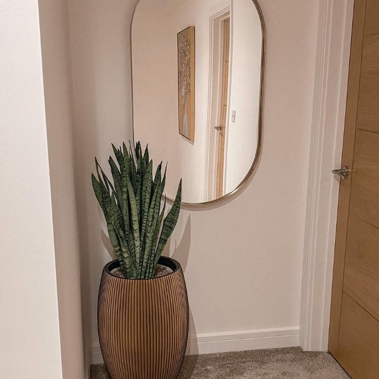 Uma parede branca, com uma porta no canto da imagem, na parede um espelho e em baixo um grande vaso marrom com um aespada-de-são-jorge