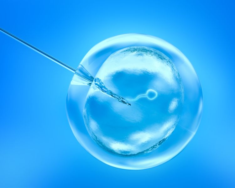 Fundo azul, ilustração de óvulo e espermatozoide em FIV, fertilização in vitro