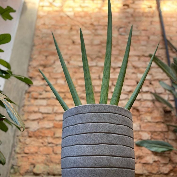 um vaso de concreto com uma planta em um fundo de parede de tijolos