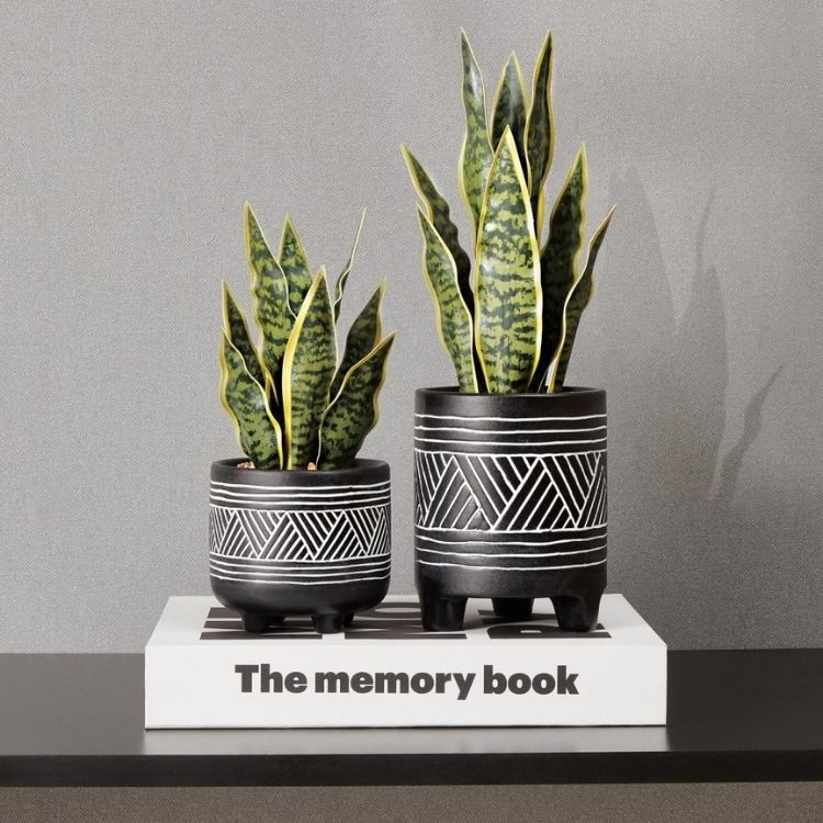 dois vasos pretos com desenhos geométricos contendo mini espadas-de-são-Jorge estão em cima de um livro, na lombada se lê "The memory book"