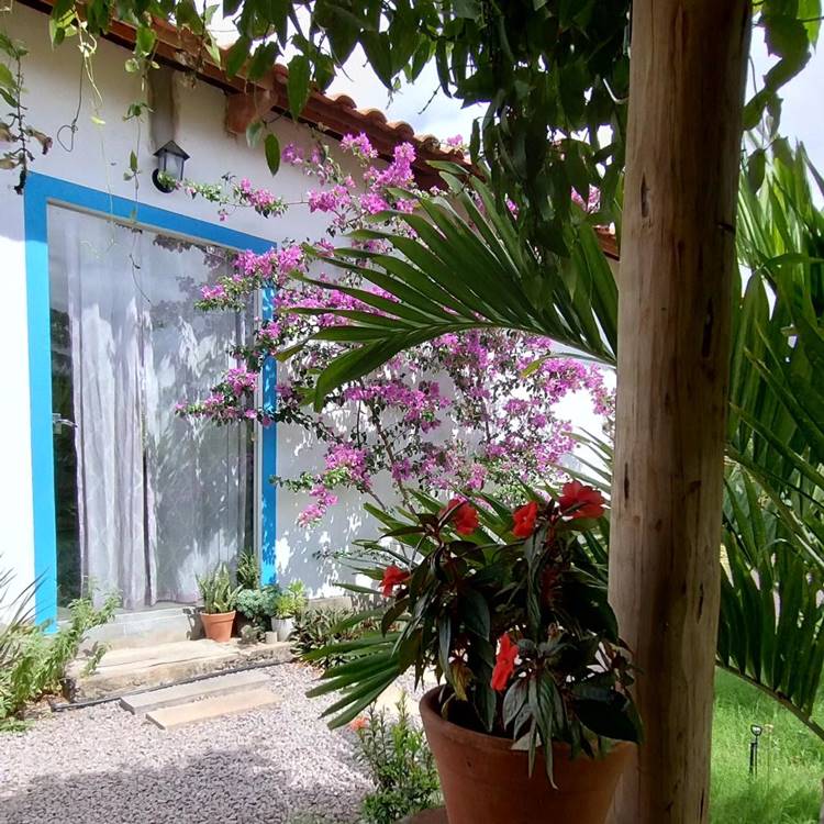 Entrada da casa simples. Porta de vidro com portal azul. Flores rosa, vermelha e outras plantas decoram a fachada