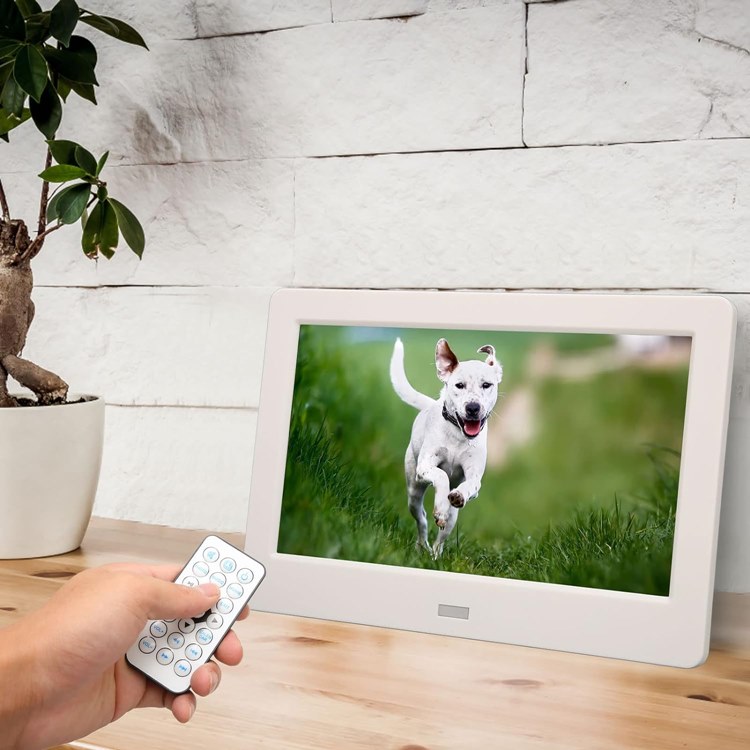 Álbum de fotos eletrônico grande, com foto de cachorro correndo na grama, sob mesa de madeira com planta, parede de tijolos e mão de pessoa com controle
