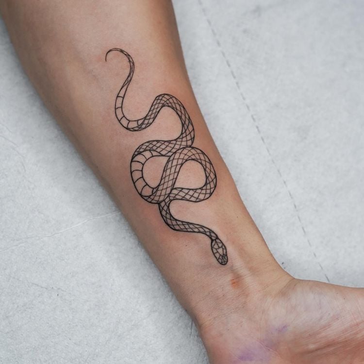 Um antebraço com uma cobra tatuada