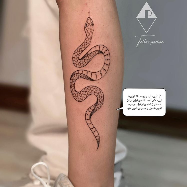 uma cobra tatuada em uma canela na parte de fora da perna
