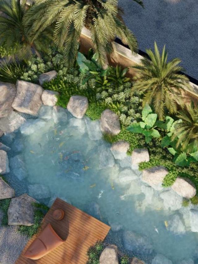 foto de piscina biológica vista de cima, com vegetação e deck nas margens