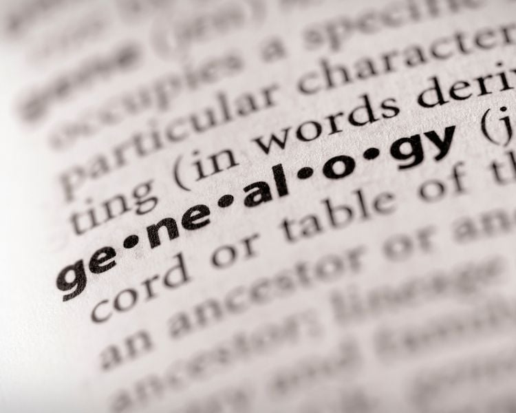 palavra genealogy em dicionário