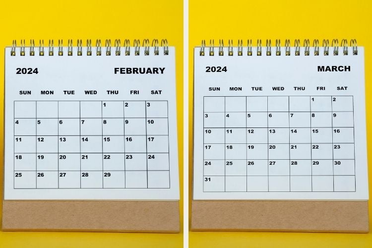 Calendário de fevereiro e março de 2024 com fundo amarelo. 