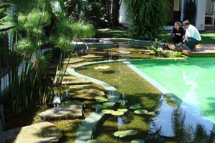 Duas pessoas abaixadas próximas à piscina biológica com plantas, águas cristalinas e pedras. 