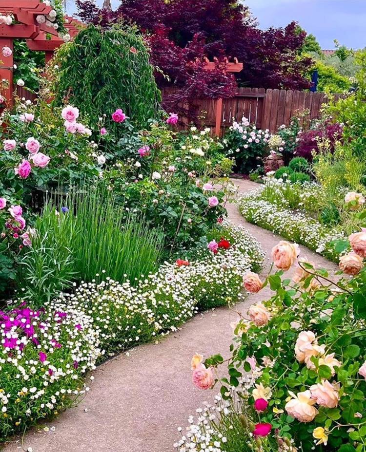 Caminho com crescimento de flores diferentes, com rosas de diversas cores decorando ao redor.