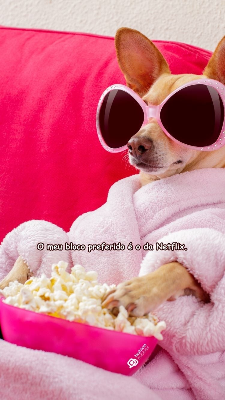 Frase não gosto do carnaval escrito em foto de cachorro com óculos de toalhaddeitado em local rosa com balde de pipoca