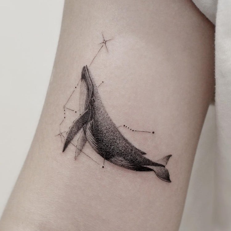 Tattoo de constelação do signo de Aquário, cores: preto. Com baleia no meio