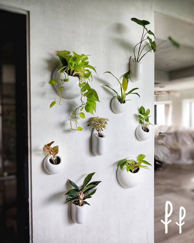 Parede de área interna de casa com vasos minimalistas e plantas