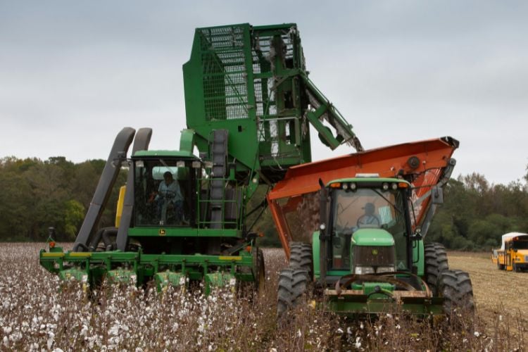 Máquinas e tratores desmatando campo de algodão 