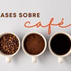 Montagem de fundo branco com três xícaras: uma com grão de café, outra com pó de café e outra com a bebida em si, além de escrito "frases sobre café"