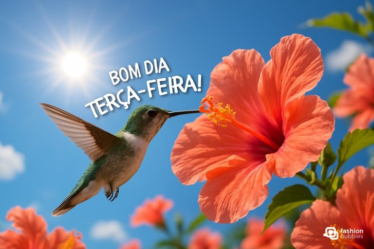 A imagem mostra um beija-flor verde e branco voando em direção a uma flor de hibisco laranja vibrante. O sol brilha intensamente no canto superior esquerdo em um céu azul claro, com algumas nuvens difusas. A frase "BOM DIA TERÇA-FEIRA!" está escrita em letras brancas na imagem.