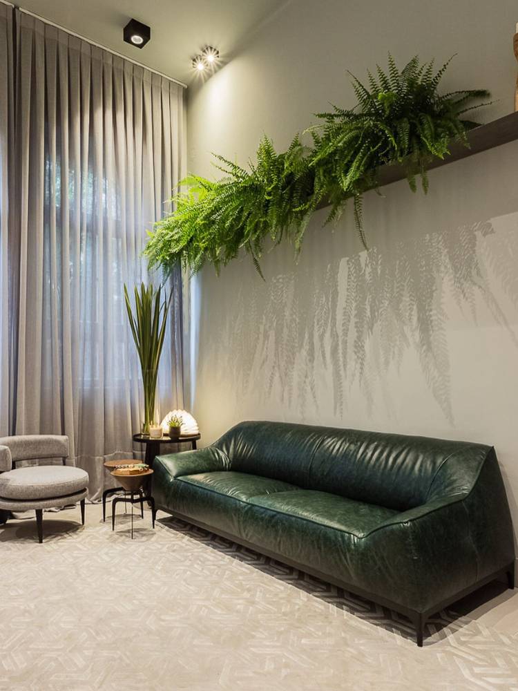 Sala com parede cinza, sofá verde de couro, poltrona cinza e prateleira com plantas