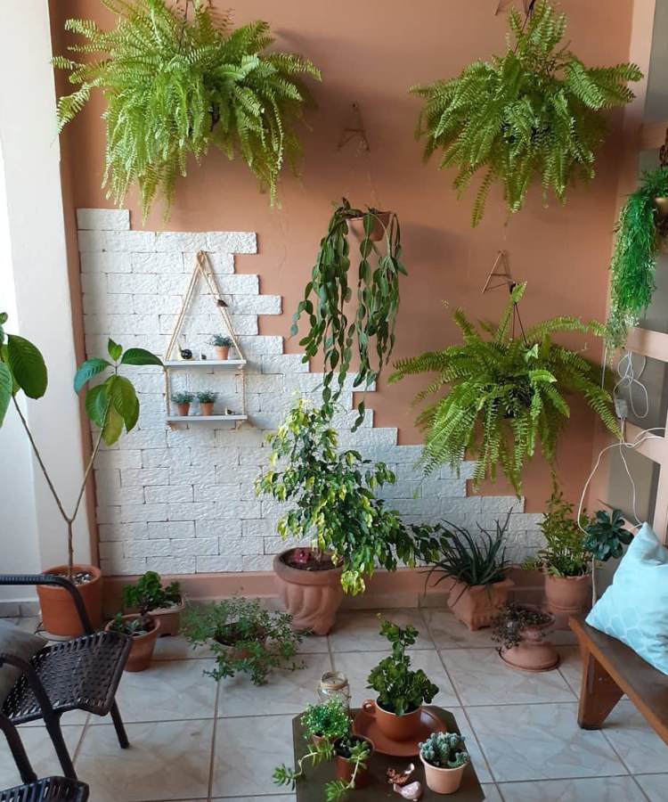 área de varanda com plantas em vasos e samambaias penduraas em parede
