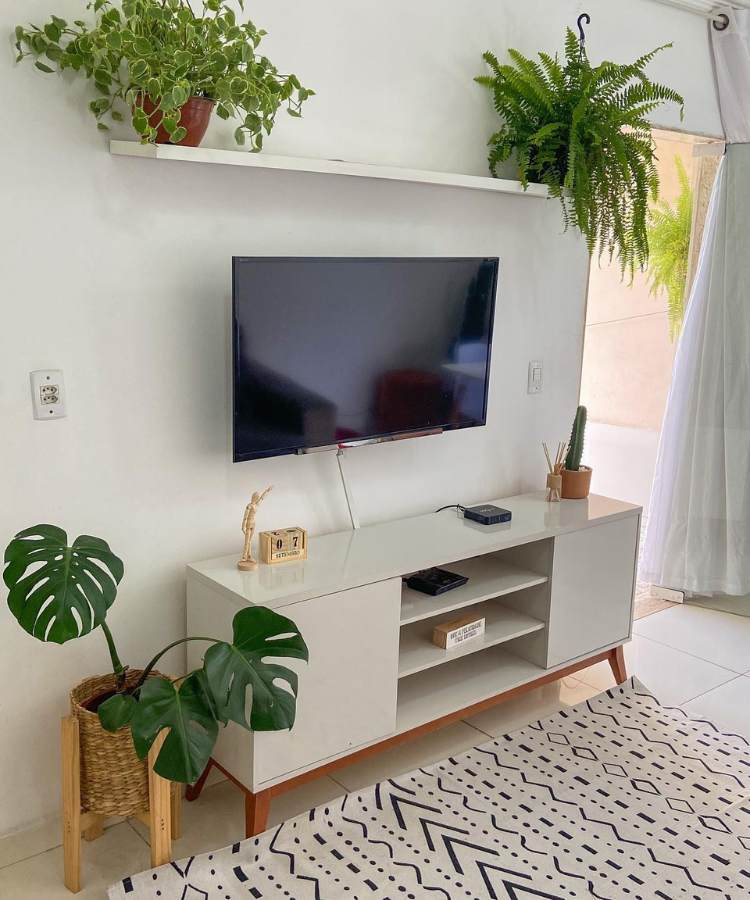 Prateleira com vasos de planta sob uma tv com móvel abaixo em sala com tapete