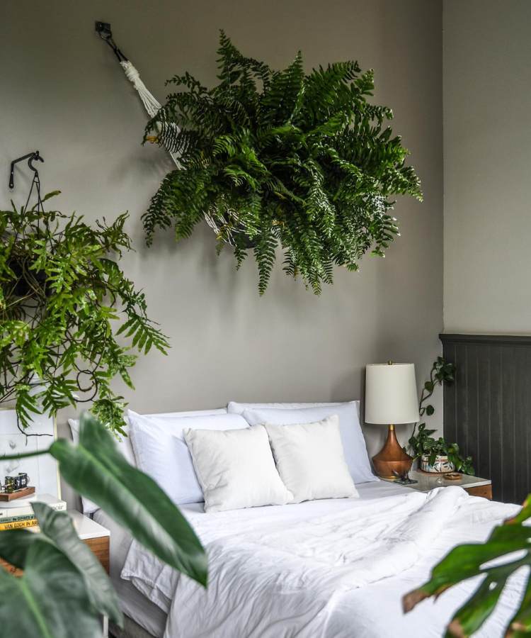 Quarto com cama duas mesas de canto e plantas ao redor, há duas samambaias penduradas na parede em cima