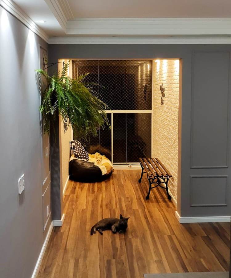 Ambiente de casa com planta samambaia, banco e estofado com gatos