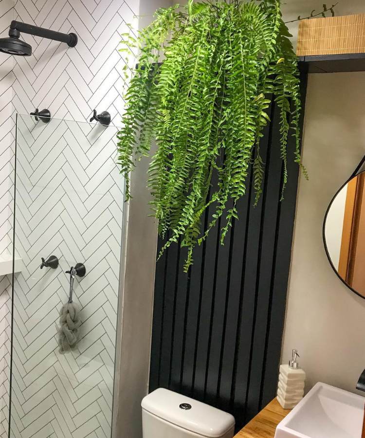Banheiro com planta samambaia na parede em cima do vaso