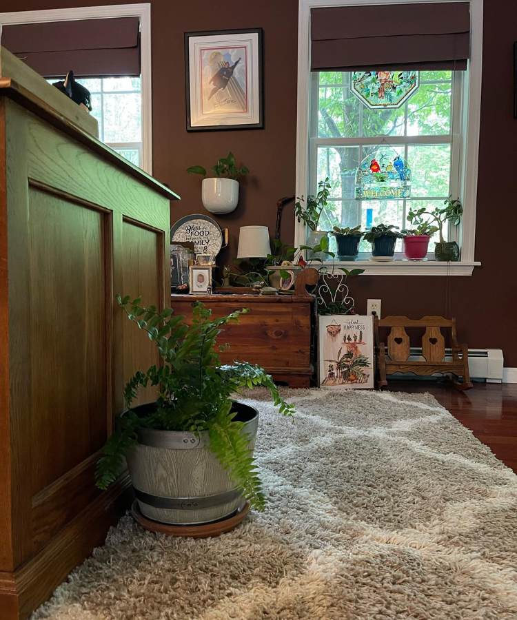 Vaso com samambaia em tapete no canto de móvel de madeira de uma casa