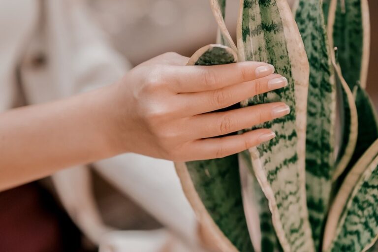 Foto de mão de mulher com manicure japonesa, técnica de unhas naturais que é tendência no TikTok