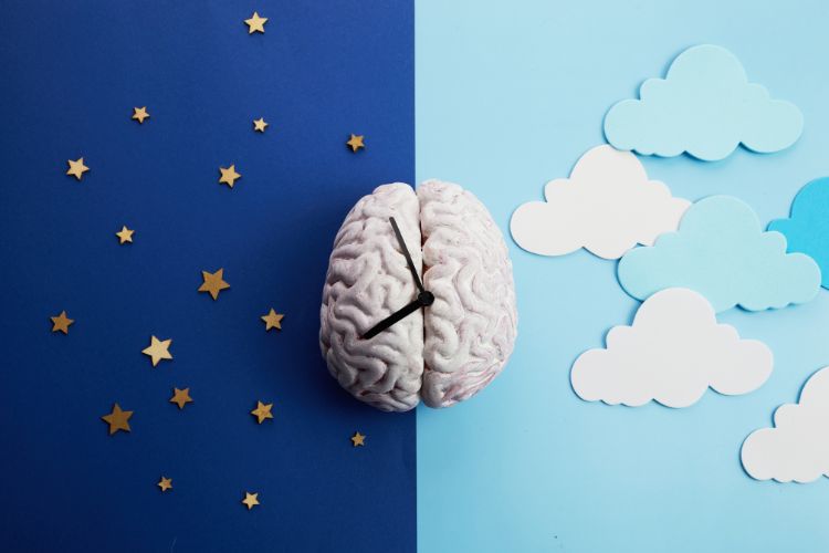Fundo azul dividido em duas partes, um para o céu noturno e outro para o céu diurno, com um relógio em forma de cérebro no meio, simbolizando quando a melatonina é produzida