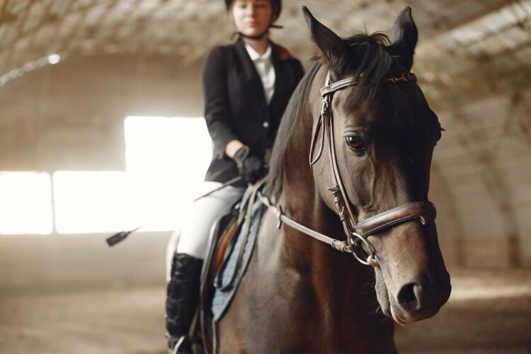 A elegância e o estilo dos esportes equestres: uma jornada de tradição e sofisticação