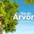 A imagem mostra uma árvore vista de baixo, com um tronco marrom e uma copa verde vibrante. O céu ao fundo é azul claro. No lado direito da imagem, está escrito "Dia da Árvore" em letras brancas grandes, e logo abaixo, "21 de setembro".