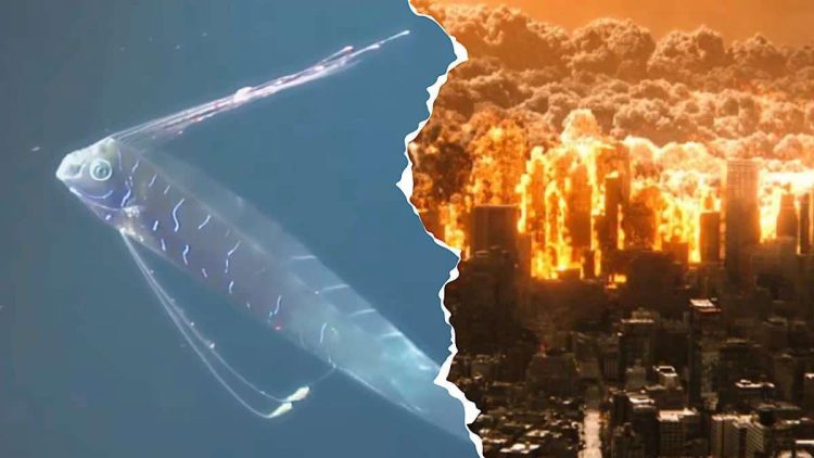 Peixe-remo habita as profundezas dos mares e sua aparição em águas rasas representa tragédia eminente, segundo folclore japonês.