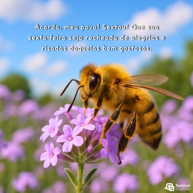Uma abelha peluda e dourada pousa em uma flor roxa brilhante em um campo. O céu azul claro com nuvens fofas pode ser visto ao fundo. O texto em português na imagem diz "Acorda, meu povo! Sextou! Que sua sexta-feira seja recheada de alegrias e risadas daquelas bem gostosas."