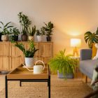 Sala de apartamento iluminada por abajur com sofá, móveis de madeira e plantas de sombra, como samambaia, zamioculca, espada de são jorge e costela de adão