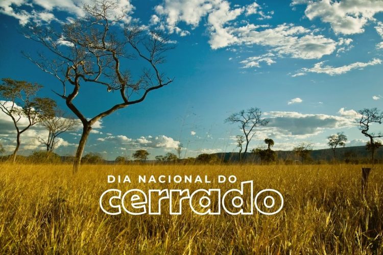 Piasagem do cerrado com frase "Dia nacional do Cerrado"