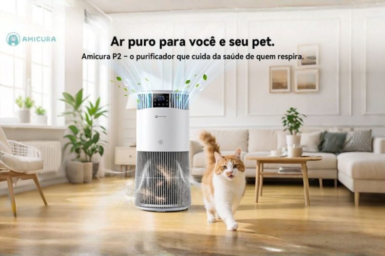 Teste de 30 dias do filtro de ar purificador Amicura P2