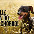Mensagem de feliz Dia do Cachorro