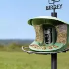 Comedouro de pássaros com câmera para jardim inteligente Birdfy