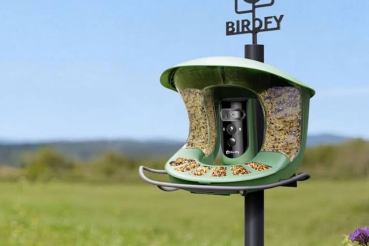 Comedouro de pássaros com câmera para jardim inteligente Birdfy